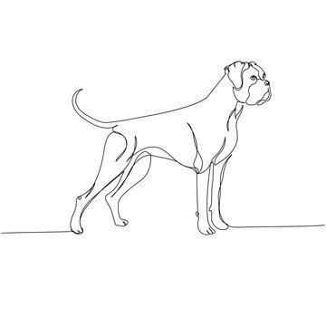 Boxer dog breed, guard dog, service dog one line art. Continuous line drawing of friend, dog, doggy, friendship, care, pet, animal, family, canine.