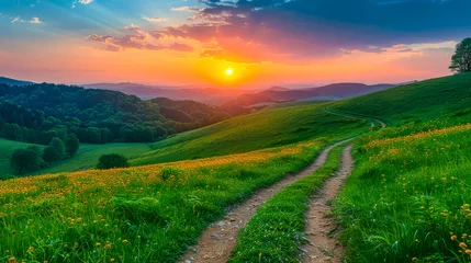 Gordijnen Winding Path Through Colorful Summer Fields at Sunset. A beautiful flowers field with a road running through it. Nature landscape © Svetlana Kolpakova
