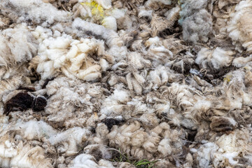 A pile of wool sheared from sheep
