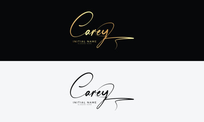 Handwriting logo signature logo Photography logo Design template