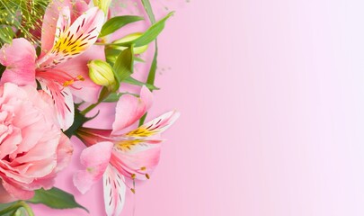Obraz na płótnie Canvas Tender pink fresh flowers on background