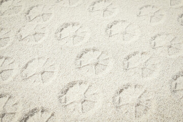 A drawing on the sand by the sea travel background