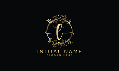 Handwriting logo signature logo Photography logo Design template