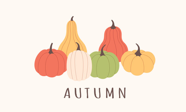 Autumn greeting card with pumpkins. Autumn aesthetics. Vector illustration in flat style