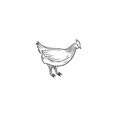 Beautiful realistic chicken, quail, duck as a concept of domestic farm animal. Hen for eggs laying, broiler white meat in black isolated on white. Hand drawn vector sketch illustration in doodle style