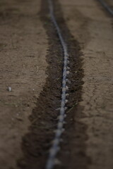 Water irrigation lines on ground prepared for planting in spring.
