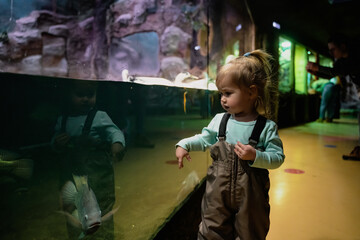 A child little girl walks around the zoo between glass enclosures