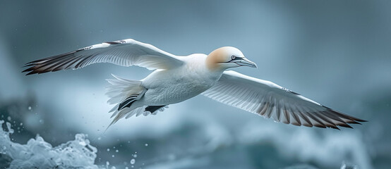 Graceful gannet bird in flight over turbulent sea waves, showcasing wildlife in motion with a...
