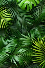 Close-Up of Lush Green Leaves