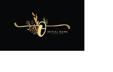 Handwriting logo signature logo Photography logo Design template  