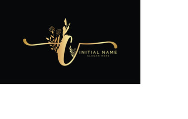 Obraz premium Handwriting logo signature logo Photography logo Design template 