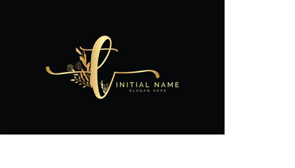 Handwriting logo signature logo Photography logo Design template  
