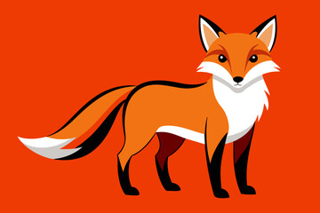 Obraz premium Vector design of a Fox