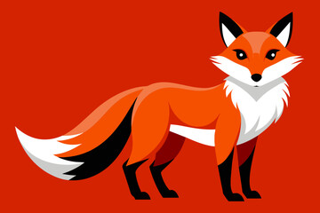 Obraz premium Vector design of a Fox