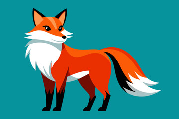 Obraz premium Vector design of a Fox