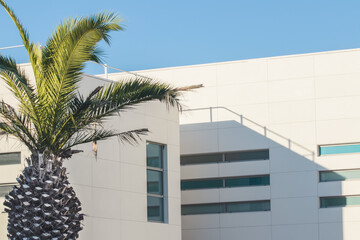 Luxury real estate building shot with palm tree populating the foreground. The facade is composed...