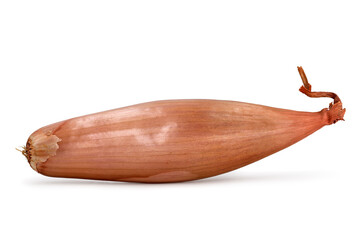 Whole unpeeled banana shallot isolated on white background, side view of a long onion variety - obrazy, fototapety, plakaty
