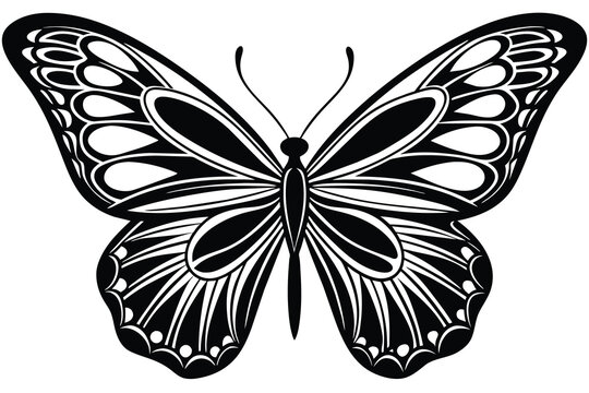 beautiful butterfly line art, vector illustration