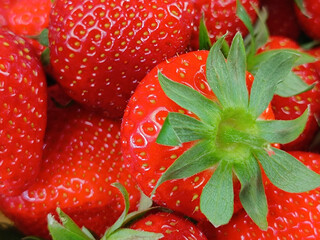 tas de fraises, en gros plan	