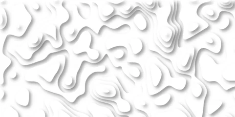 Fotobehang 3D Papercut Stylized White topographic contour scheme and terrain. Topography grid map. Contour map background. Geographic line mountain relief. Abstract lines or wavy backdrop background. © Arthur