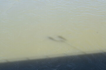 shadows of the street lamp posts on water