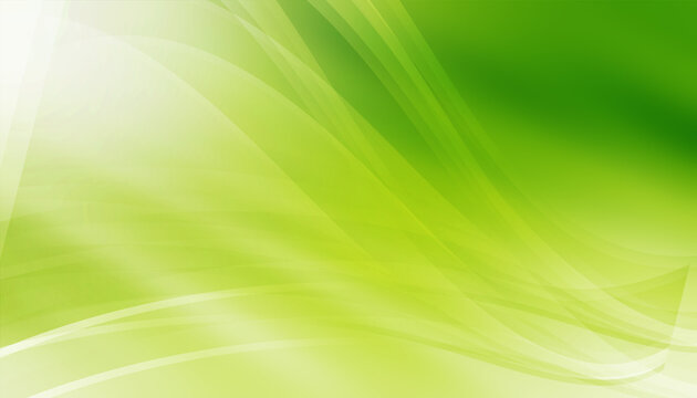 Green Background and wallpaper hd Images Download