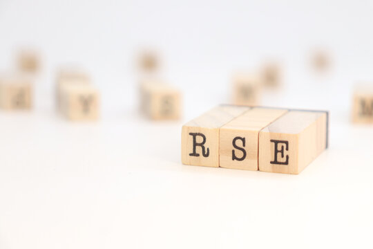 RSE acronym (responsabilit&eacute; soci&eacute;tale des entreprises)