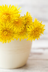 Distinct Texture and Vibrant Color of Yellow Dandelions in White Pot
