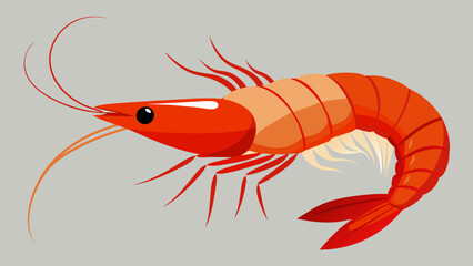 Discover the Finest Shrimp Vector Illustrations Enhance Your Designs