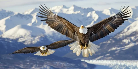 Gartenposter Two bald eagles flying over a snowy mountain range with mountains in the background. Generative AI. © serg3d