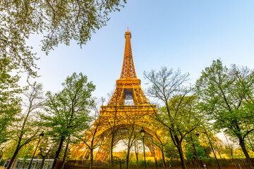 The iconic Eiffel Tower is bathed in the warm glow of the setting sun, surrounded by the lush greenery of spring trees. This captivating scene captures a tranquil and romantic atmosphere, showcasing
