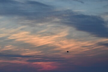 sunset in the sky with bird