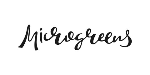Microgreens handwritten word. Growing seeds, vegan food, raw greens, healthy lifestyle concept. Black calligraphy lettering isolated on white. Design element. Print typography 