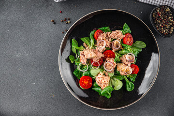 tuna salad, tomato, green leaf lettuce, onion healthy eating cooking appetizer meal food snack on the table copy space food background rustic top view