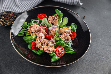 tuna salad, tomato, green leaf lettuce, onion healthy eating cooking appetizer meal food snack on the table copy space food background rustic top view