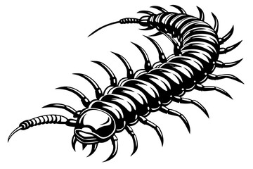 a realistic Centipede silhouette vector art Illustration 