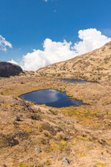 Vertical shot of paramo-filled landscape with mountains and Laguna Verde in Los Nevados National Natural Park in Colombia