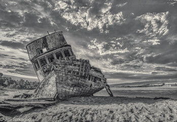 Point Reyes shipwreck in black and white.