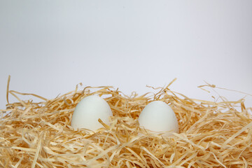 Two fresh chicken eggs in straw nest on white background. Copy space.