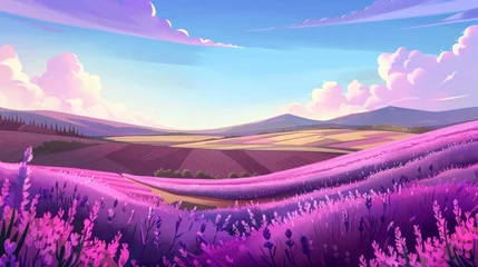 Tuinposter lavender field. © Yahor Shylau 