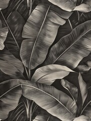 Various leaves of different shapes and sizes clustered together in a black and white display