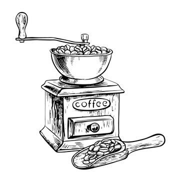 The coffee grinder grinds coffee beans. A wooden scoop with coffee beans. Vector black and white illustration illustration. For printing, menus, postcards and packages. For banners, flyers and posters