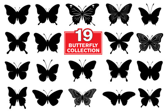 Collection of vector silhouettes butterflies. Floral butterflies mega pack. isolated on white background, Insect,  set of tattoo, logo and sticker