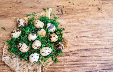Quail  Eggs on wooden background