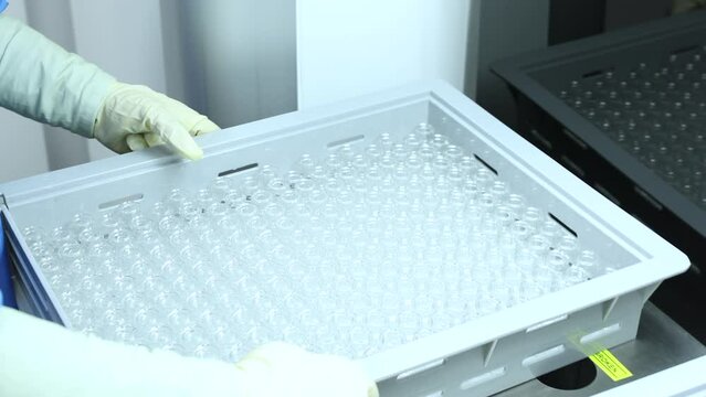 vaccine injection empty vials on a plastic pellet ampoules of glass going for checking visual inspection in front of light in a medicine production company inside a pharma drug manufacturing factory	