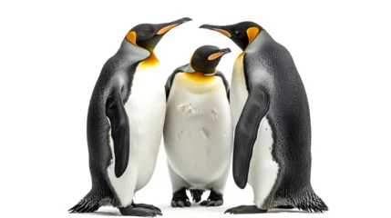 Gordijnen Playful Interaction Among Penguins © PatternHousePk