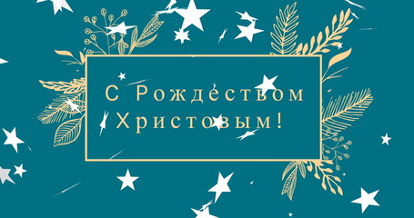 Image of merry christmas text over plants and stars - obrazy, fototapety, plakaty