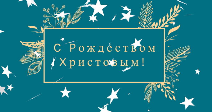 Naklejki Image of merry christmas text over plants and stars