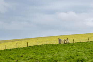 Obraz premium Fields in the Sussex countryside, on an early spring day