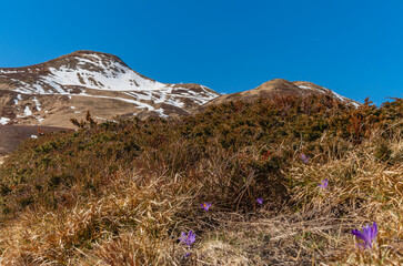 La montagna a fine inverno con tracce di neve e il cielo azzurro